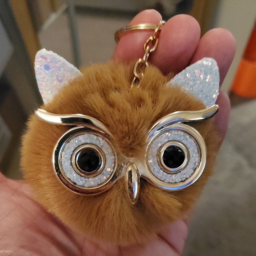 Owl key chains